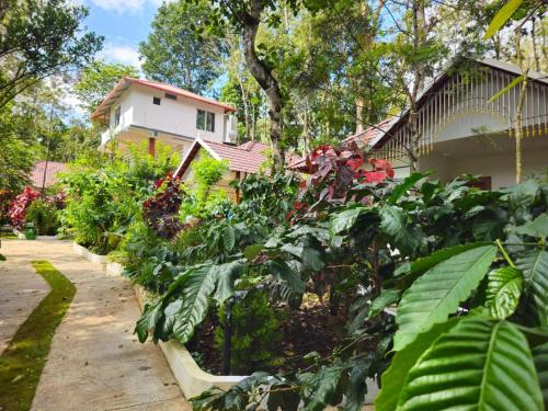 coorg orange blossom resort and spa