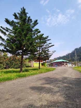 ninashi homestay