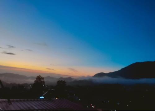 solan