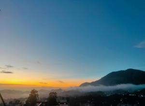 solan