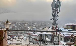 solan