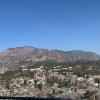 solan