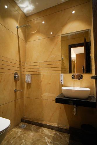 hotel ammison inn and suites