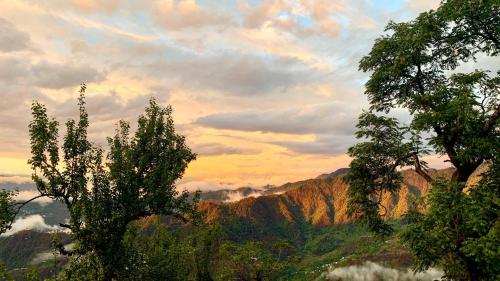 Adara Farmstay,,3 star