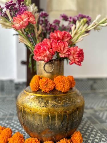 leela hatha