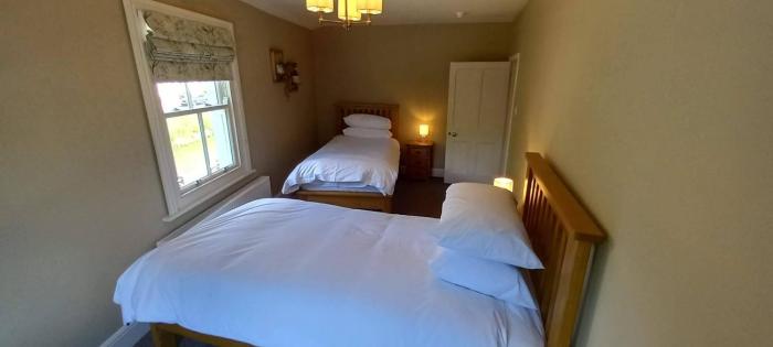 the buck hotel