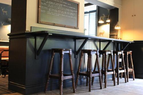 the buck hotel
