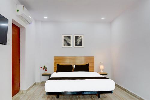 hotel o living tree in