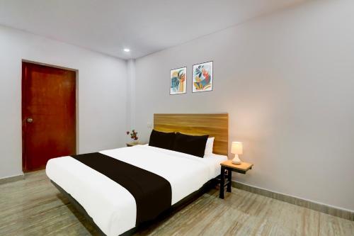 hotel o living tree in