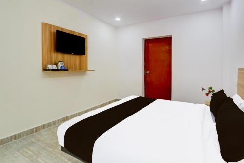 hotel o living tree in