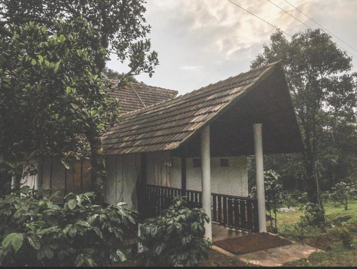 kurchi