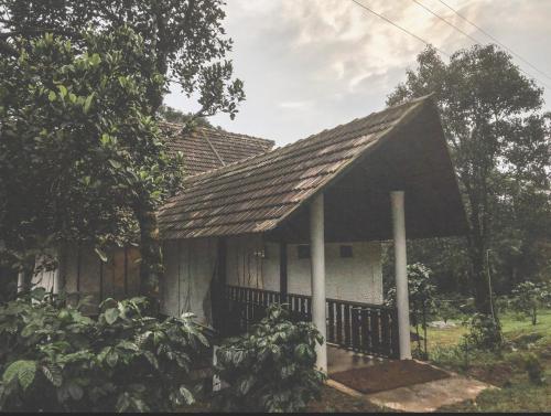 kurchi