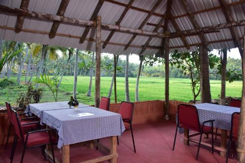 doctors ayurveda heritage