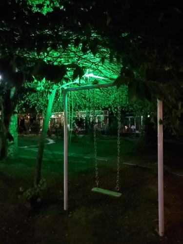 doctors ayurveda heritage