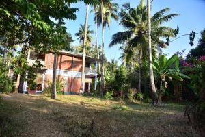 doctors ayurveda heritage