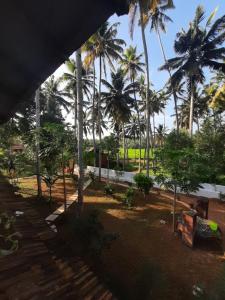 doctors ayurveda heritage