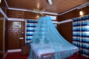 doctors ayurveda heritage