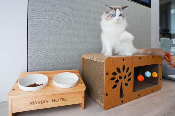 maybis hotel