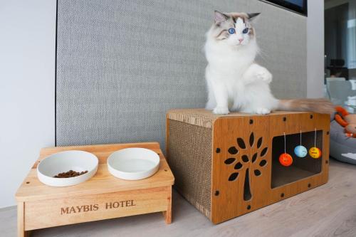 maybis hotel