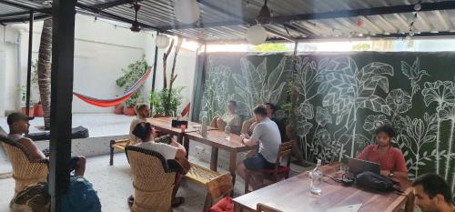 hammock hostels