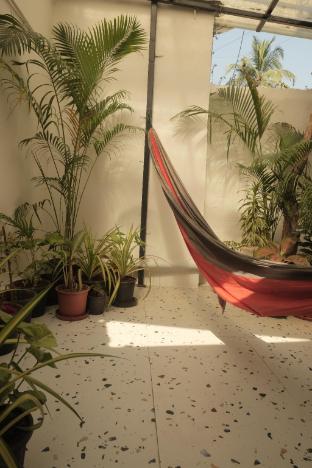 hammock hostels