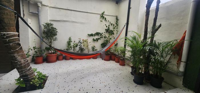 hammock hostels