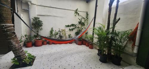 hammock hostels