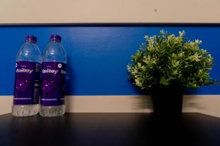 sree theja residency