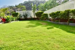 platinum royal excellency