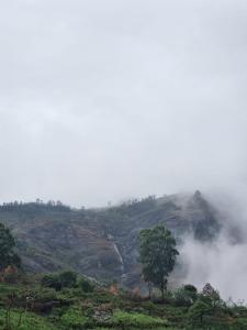 kodai hill crest kodaikanal