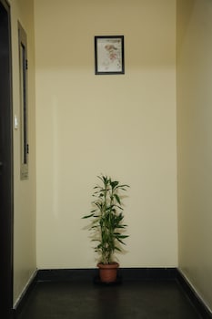 goldsuite