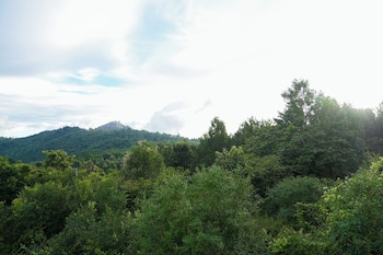 bluehill lotus holistic wellness village