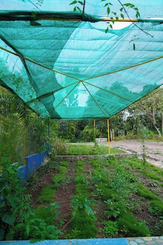 bluehill lotus holistic wellness village