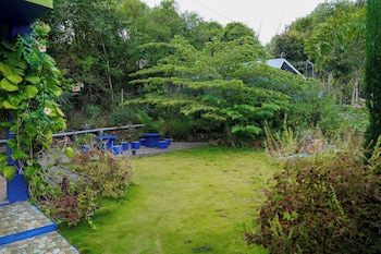 bluehill lotus holistic wellness village