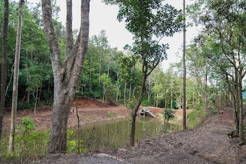 bluehill lotus holistic wellness village