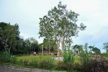 bluehill lotus holistic wellness village