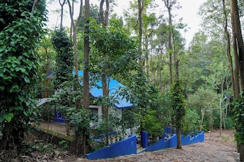 bluehill lotus holistic wellness village