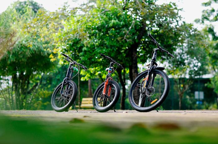 sandal mist resort and spa