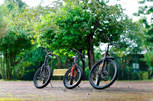 sandal mist resort and spa