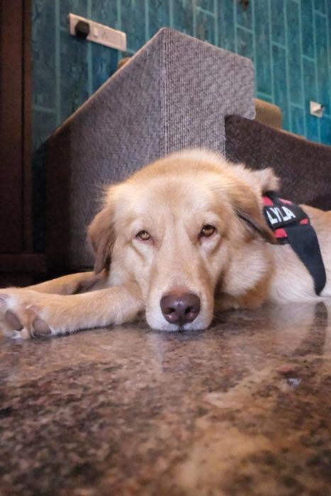 last minute trip hostel morjim by the sea