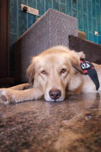 last minute trip hostel morjim by the sea