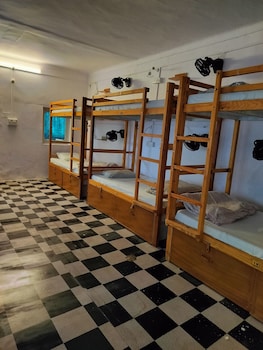 jungle by sturmfrei pushkar