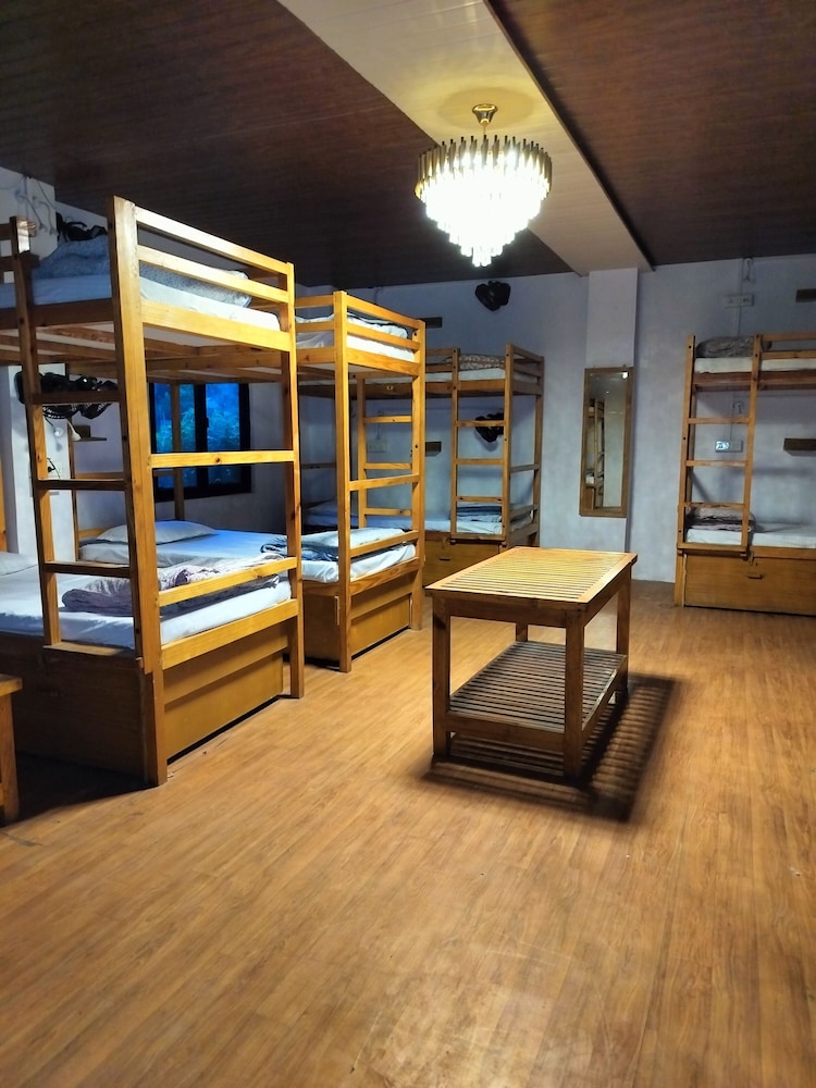 jungle by sturmfrei pushkar