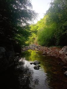 jungle by sturmfrei pushkar