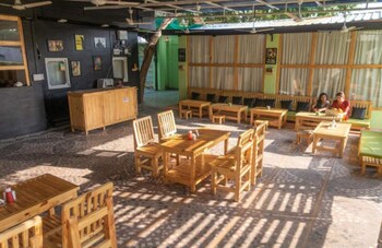 jungle by sturmfrei pushkar