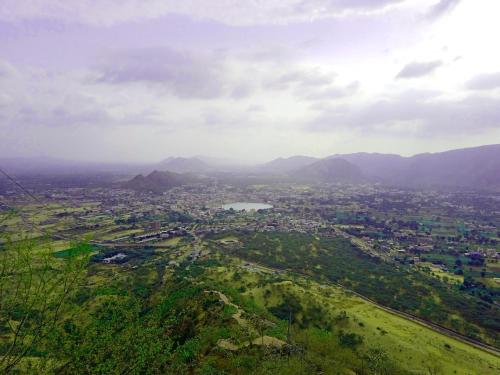 Jungle By Sturmfrei Pushkar,,1 star