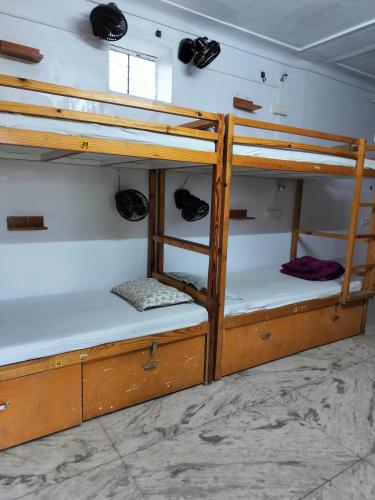 jungle by sturmfrei pushkar