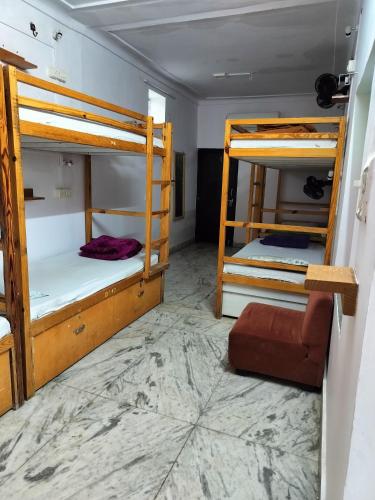 jungle by sturmfrei pushkar