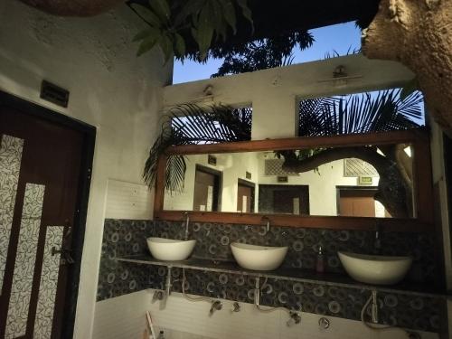 jungle by sturmfrei pushkar