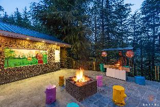 zostel kotgarh narkanda